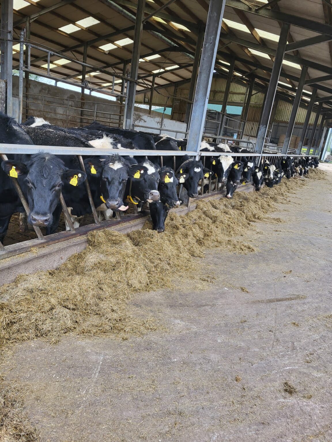Dairy farm vacancies Ireland Dairy Farm Recruitment